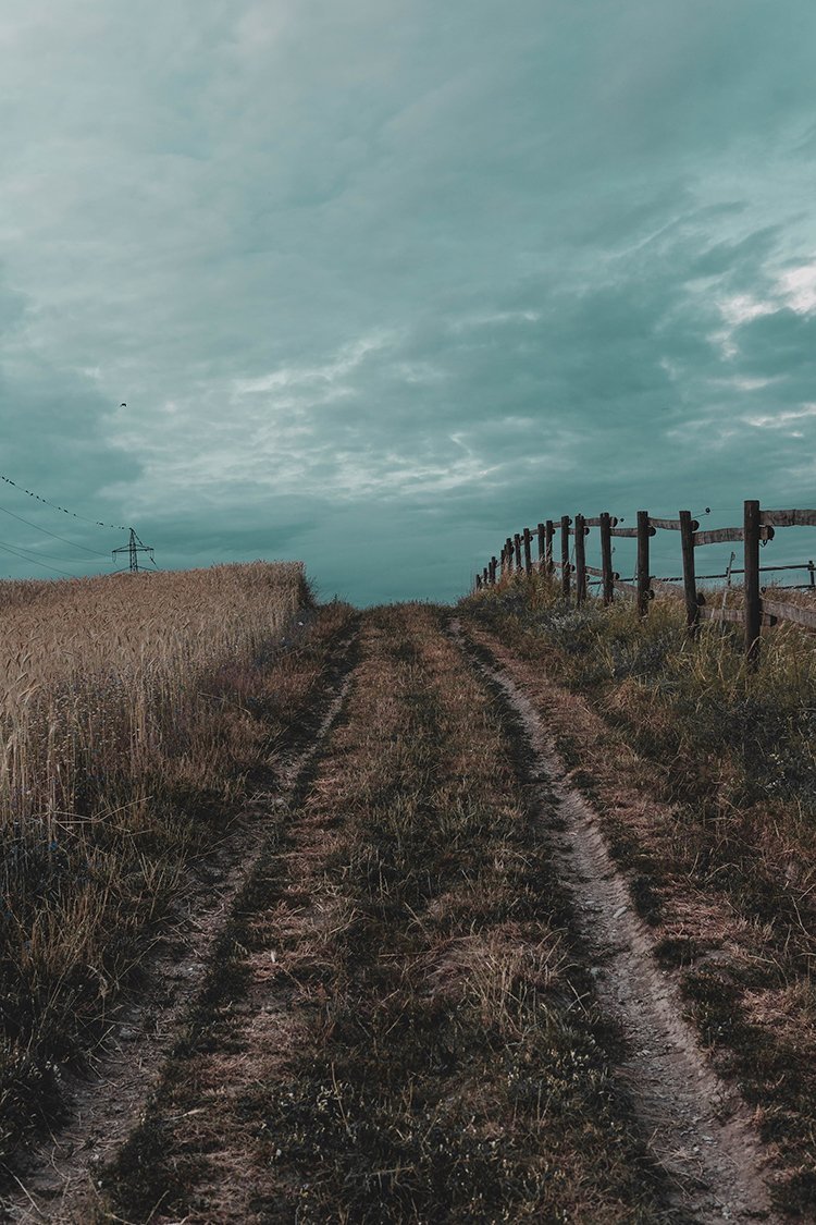 folco masi w48ytvaxffm unsplash.jpg